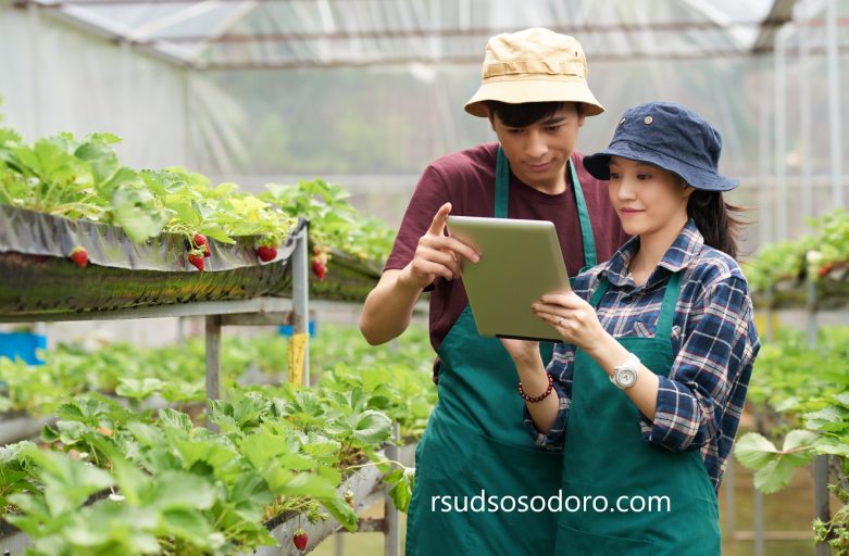 Jurusan Agribisnis: Menjadikan Pertanian Lebih Modern